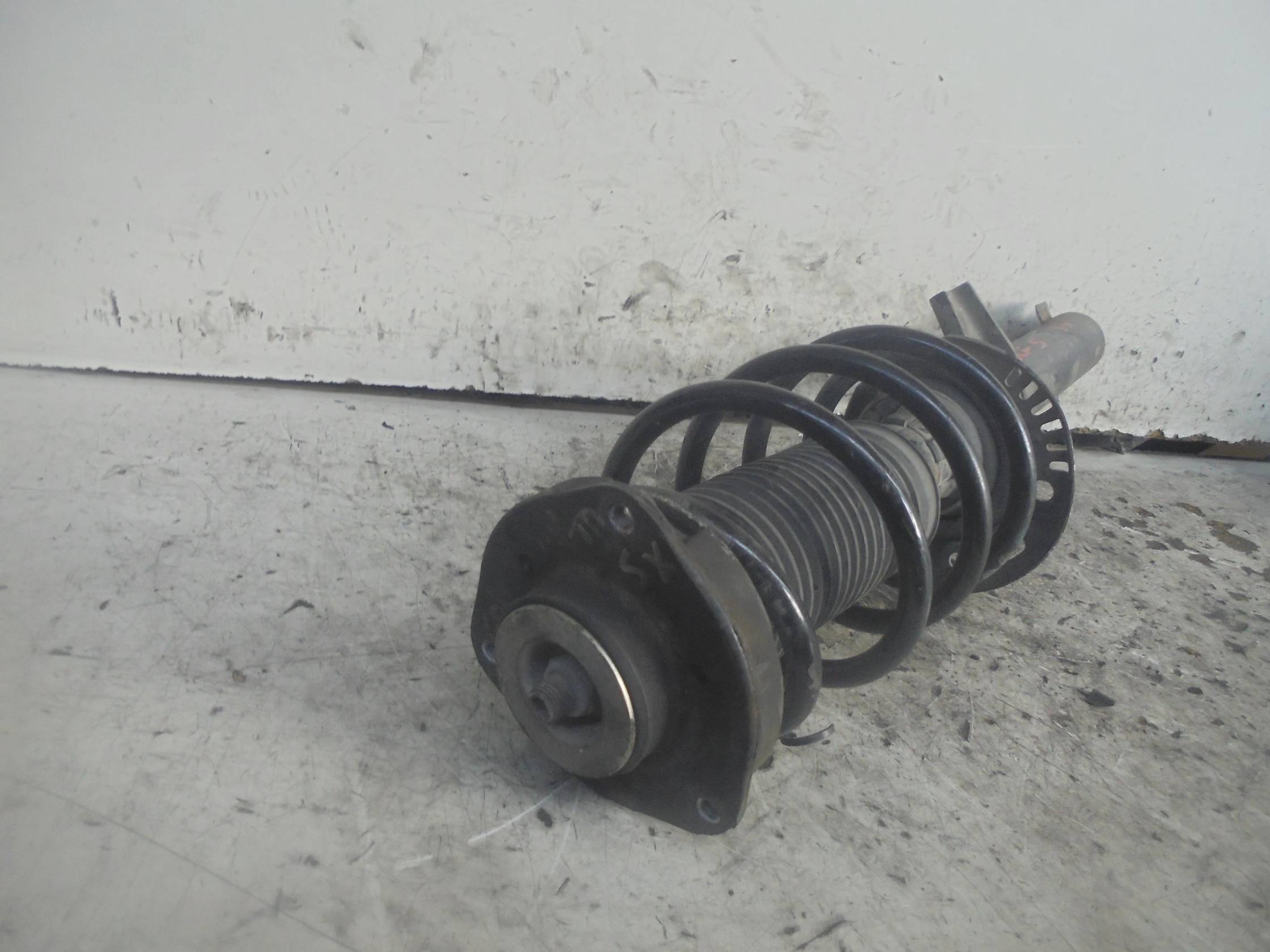 Ammortizzatore ant. sx.